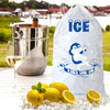 LDPE Packaging Printing Ice Cube Plastic Bag Ice Bag