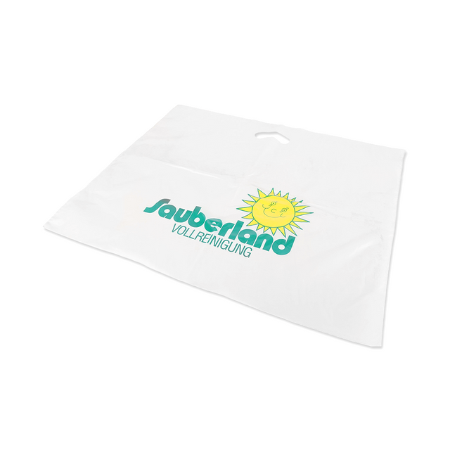 Customized Shopping Bags for Clothing Shoe Packing
